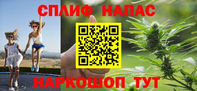 прущие грибы Коммунар
