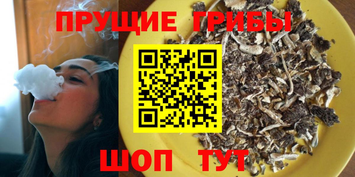 КОКАИН Кимры